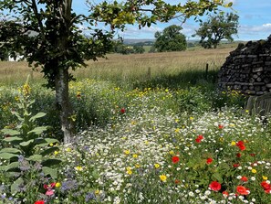 المنطقة المحيطة بالمنشأة