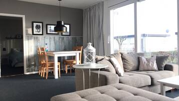 TV, fireplace, DVD player, books