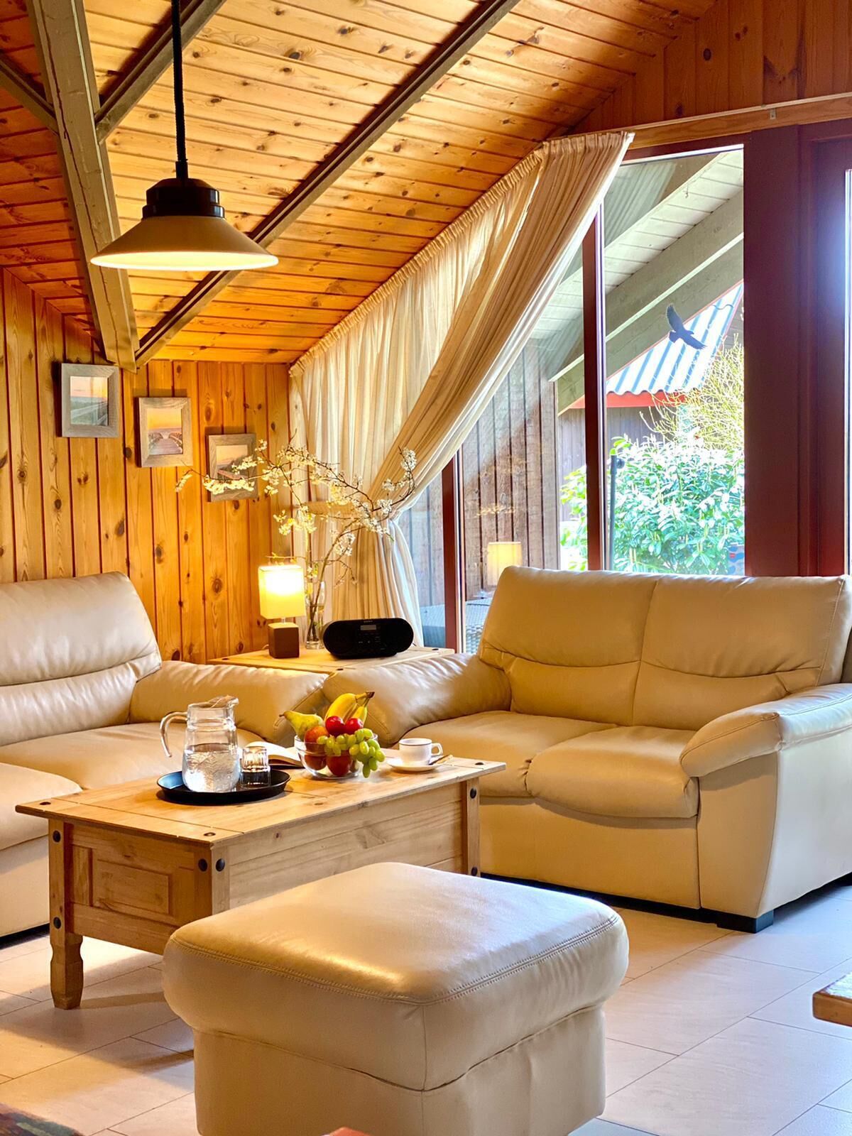 Televisor, reproductor de DVD, llibres i videoteca 