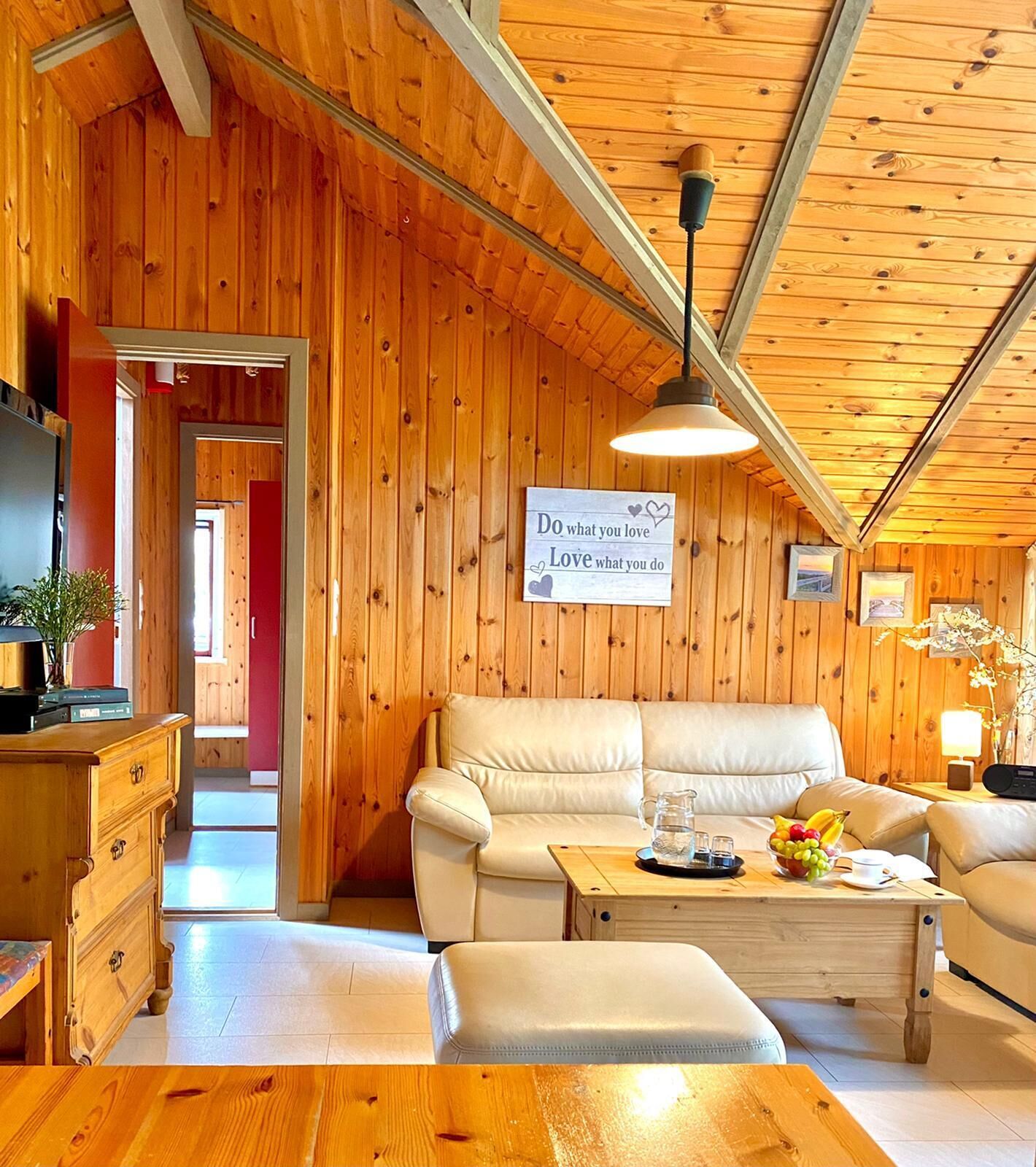 Fernseher, Kamin, DVD-Player, Bücher