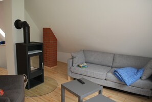 智能電視、壁爐、DVD 播放機、書籍