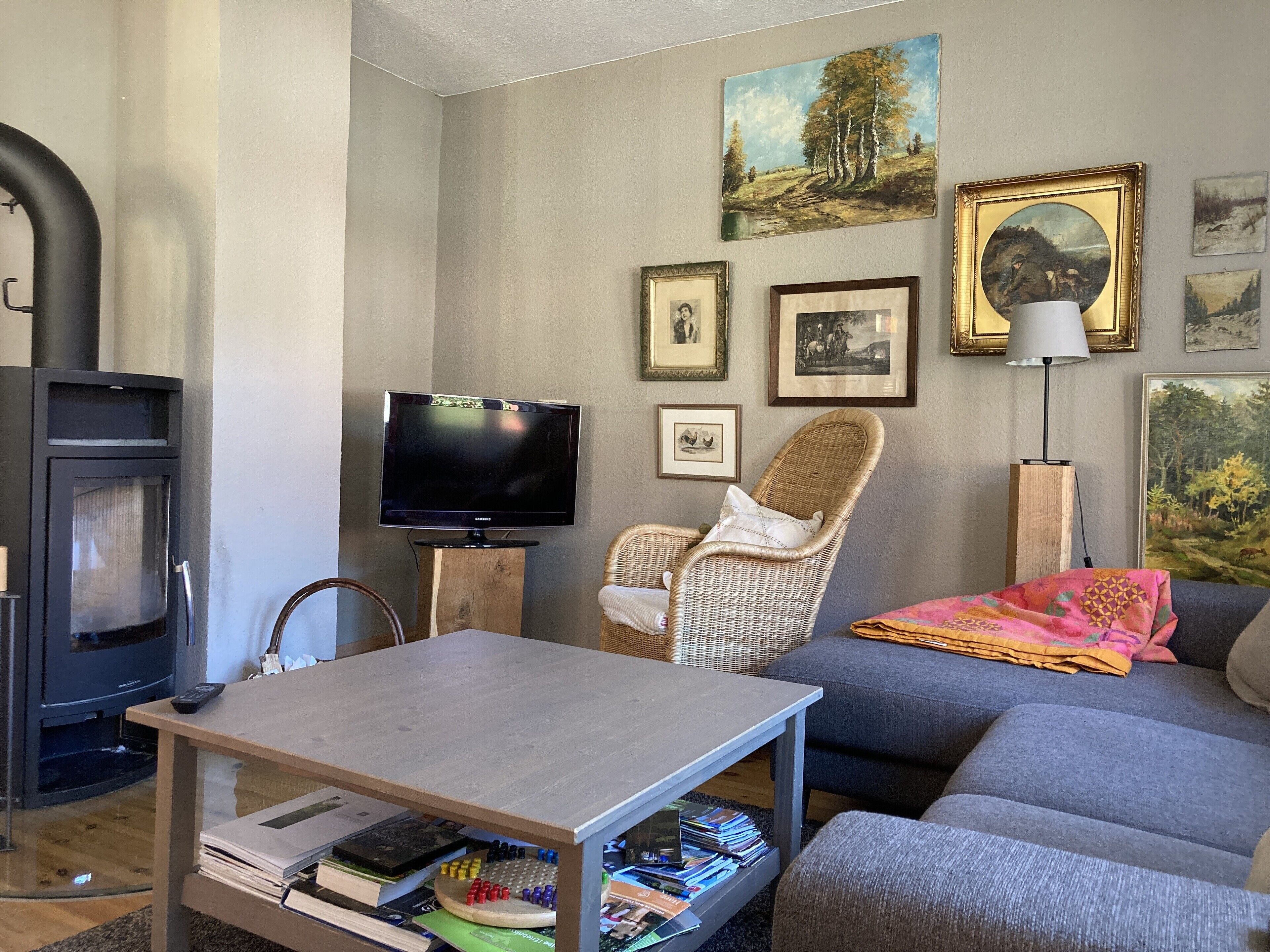 Smart TV, fireplace, DVD player, books