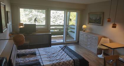 Furnished studio 33m2 for rent