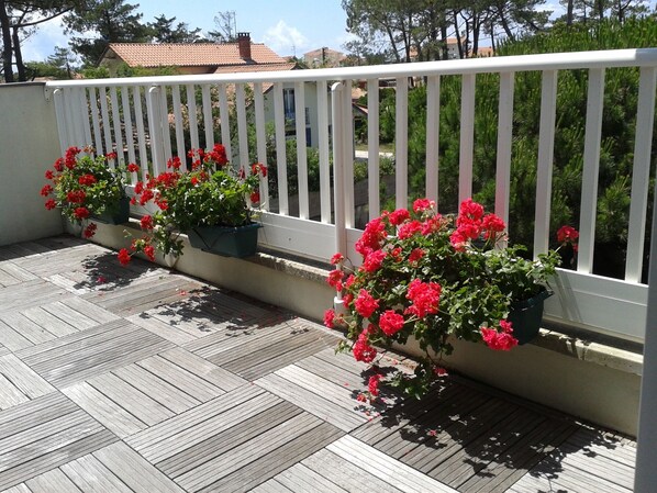A wooden deck with a white railing and potted plants with red flowers.