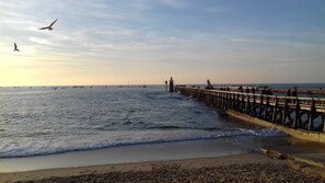 A coastal scene with a wooden pier extending into the sea, waves gently lapping at the shore, and a few seagulls flying overhead.