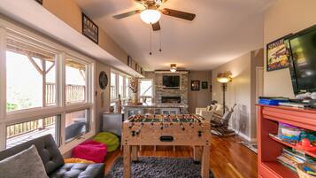 TV, fireplace, DVD player, books