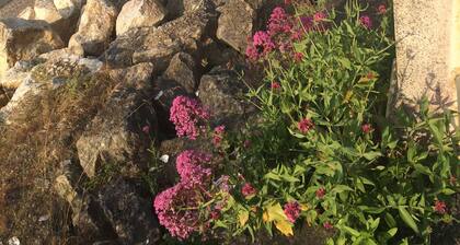 House with garden, 500 m from the sea, 7 people, all comfort