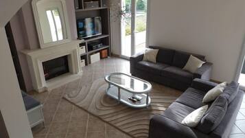 Télévision à écran plat, cheminée, lecteur de DVD, livres