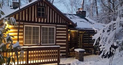Vanhan maailman Sveitsin mökki Nestled In The Woods