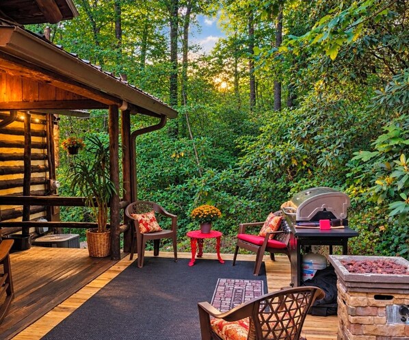 A wooden deck with outdoor furniture, a barbecue grill, and a potted plant.