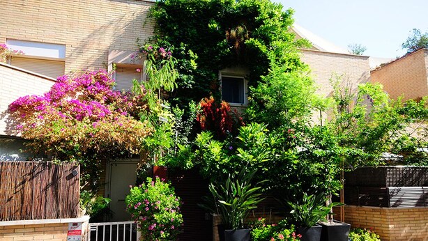 Una propiedad residencial con fachada de ladrillo, una ventana pequeña y una variedad de plantas, incluyendo arbustos florecientes y plantas en macetas.