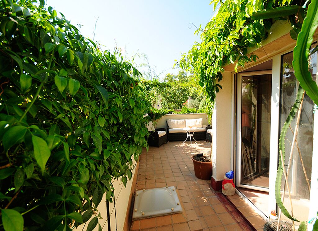 Un espace patio aménagé avec un canapé, une petite table et une plante en pot.