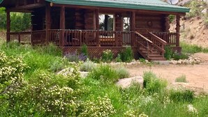 Une cabane rustique avec un toit en métal vert, un revêtement extérieur en bois et une véranda avec des marches menant à une porte.