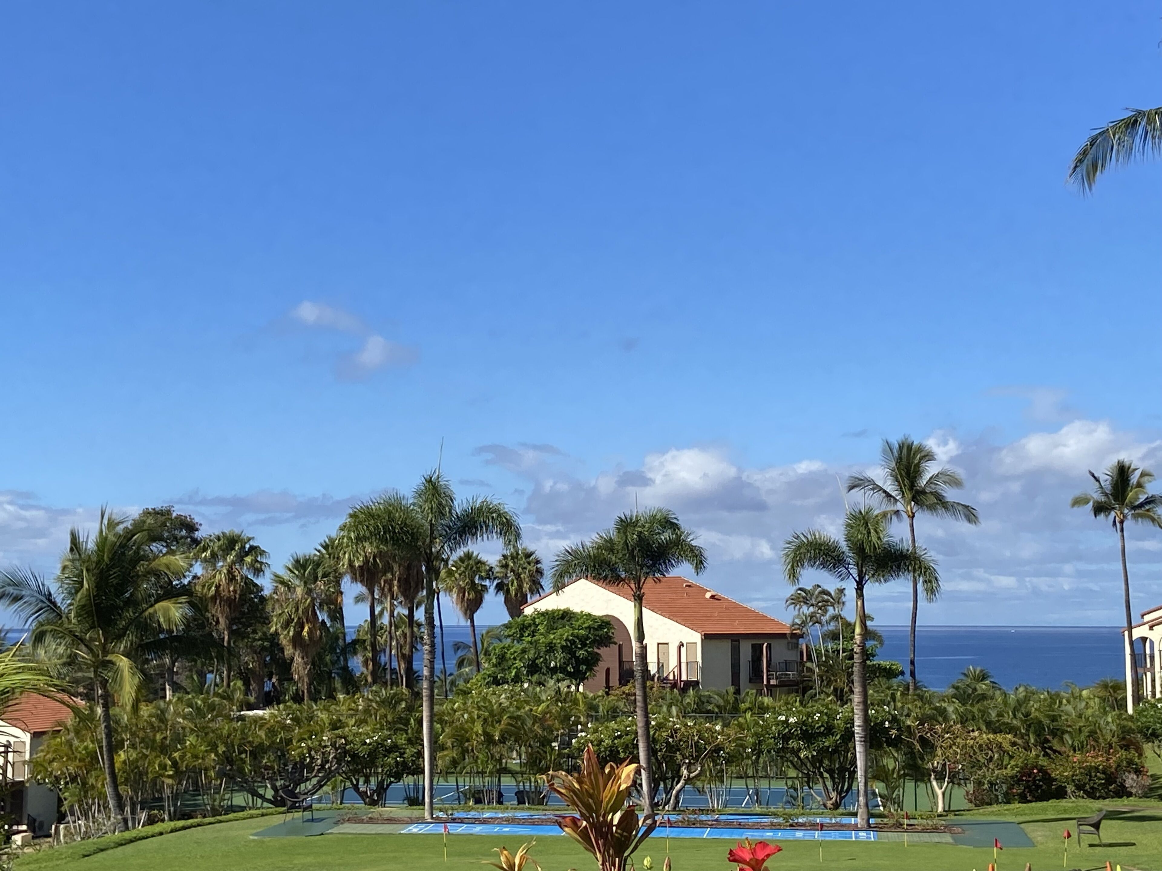 A resort with a pool, palm trees, and a view of the ocean.