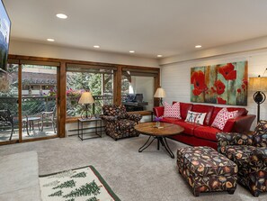 TV, fireplace, books