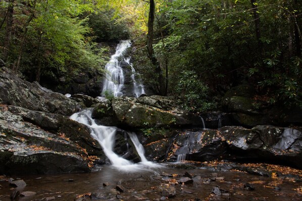 Una cascada en un área boscosa con rocas y hojas caídas.