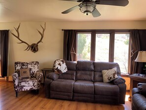 Smart TV, DVD player, books, music library