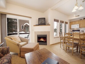 TV, fireplace, DVD player