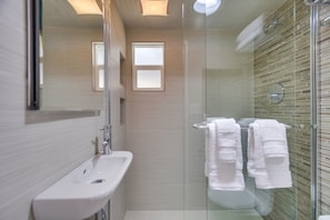 Shower, hair dryer, towels