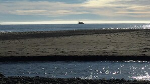 A beach with a rocky shoreline and a distant rock formation. - Beautiful Beach access/River Front Hot tub and Fire pit  (Brookings)