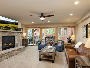 TV, fireplace, books