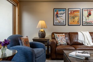 TV, fireplace, books