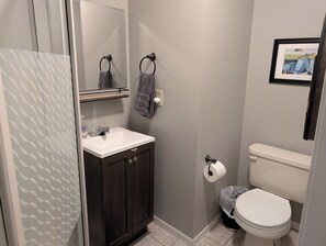 Combined shower/tub, hair dryer, towels, soap