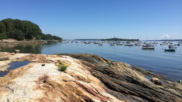 A rocky shoreline with a clear view of the sea and numerous boats. - Falmouth Waterfront Carriage House Apt (Falmouth)