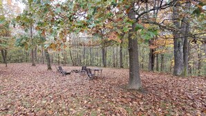 Un área boscosa con una mesa y sillas de picnic.