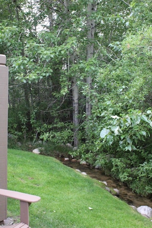 Sit by the serene stream and enjoy the lush surroundings from a secluded bench.