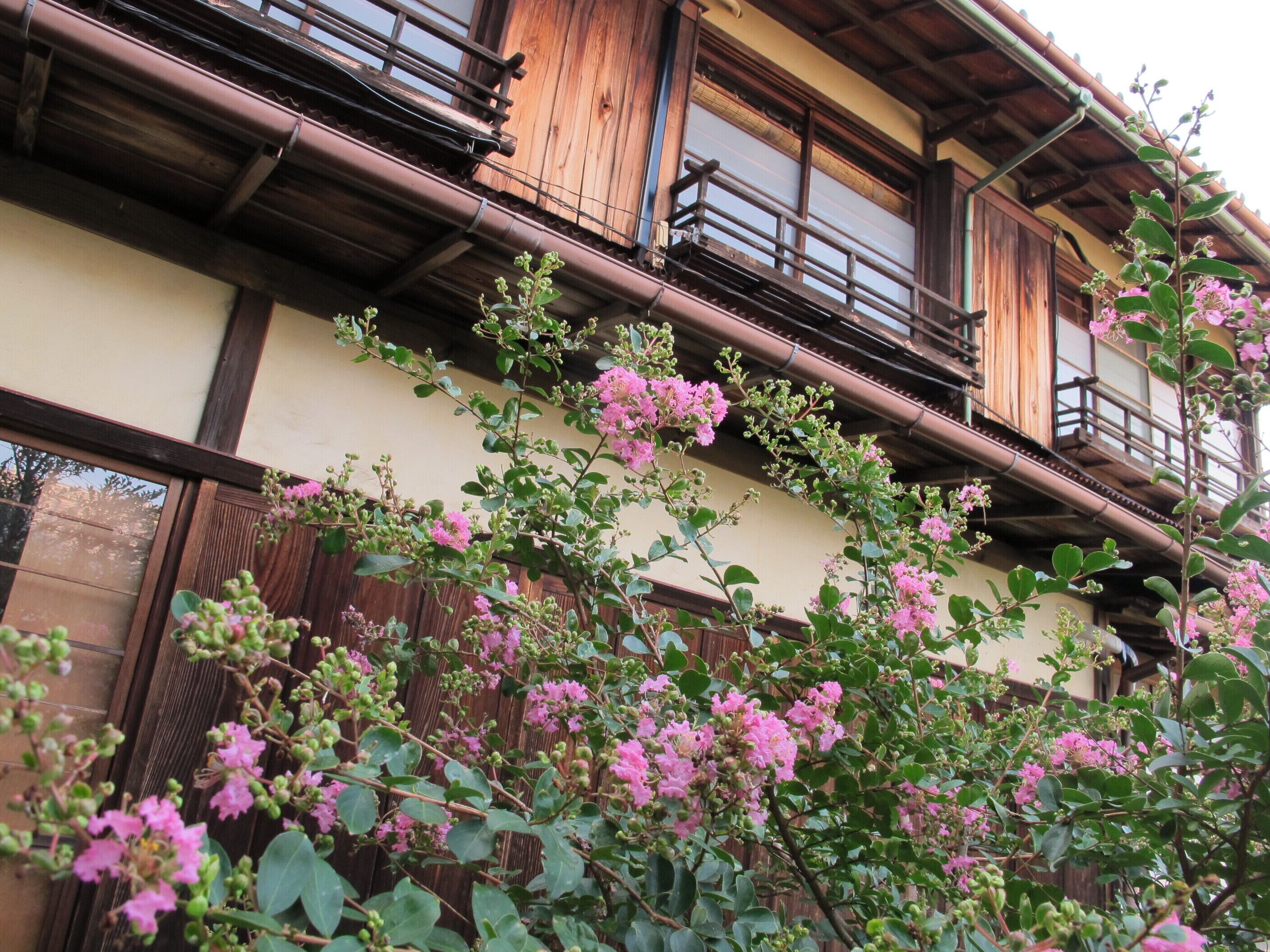 A traditional wooden building with a balcony and pink flowering plants in front.