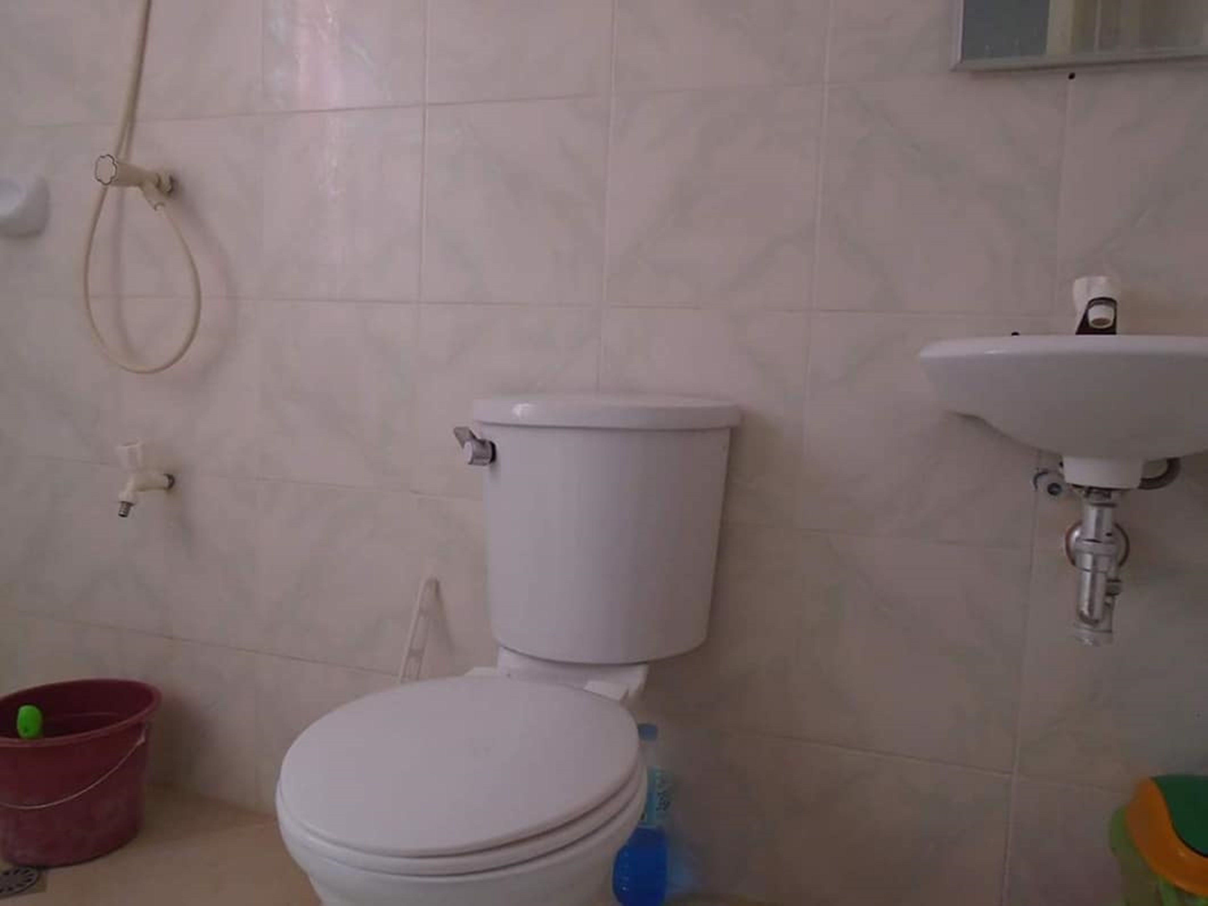 A bathroom with a toilet, a sink, and a shower.