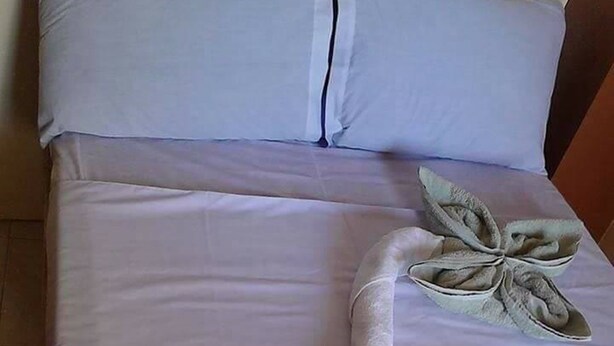 Ein Bett mit einer weißen Bettdecke und einem Handtuch, das zu einer Blumenform drapiert ist.