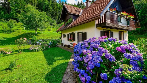 A traditional chalet with a stone pathway leading to the entrance, surrounded by lush greenery and vibrant flowers. - Beautiful private villa for 6 guests with WIFI, private pool, A/C, TV, terrace and panoramic view (Brod Na Kupi)