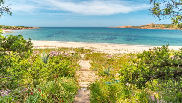 Un sendero costero que lleva a una playa con aguas azules cristalinas y colinas a lo lejos.