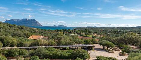 Sky, Natural Landscape, Hill, Landscape, Mountain, Shrub, Highland, Plant Community, Hill Station, Coast
