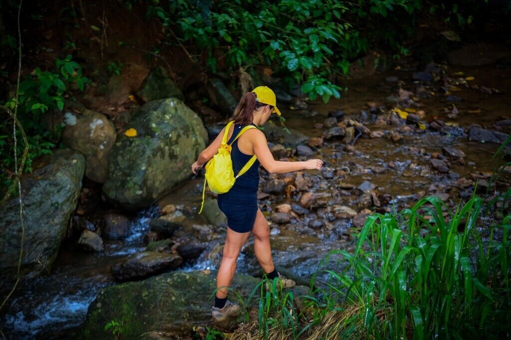 Uma pessoa caminhando em um riacho pedregoso, cercada por vegetação.