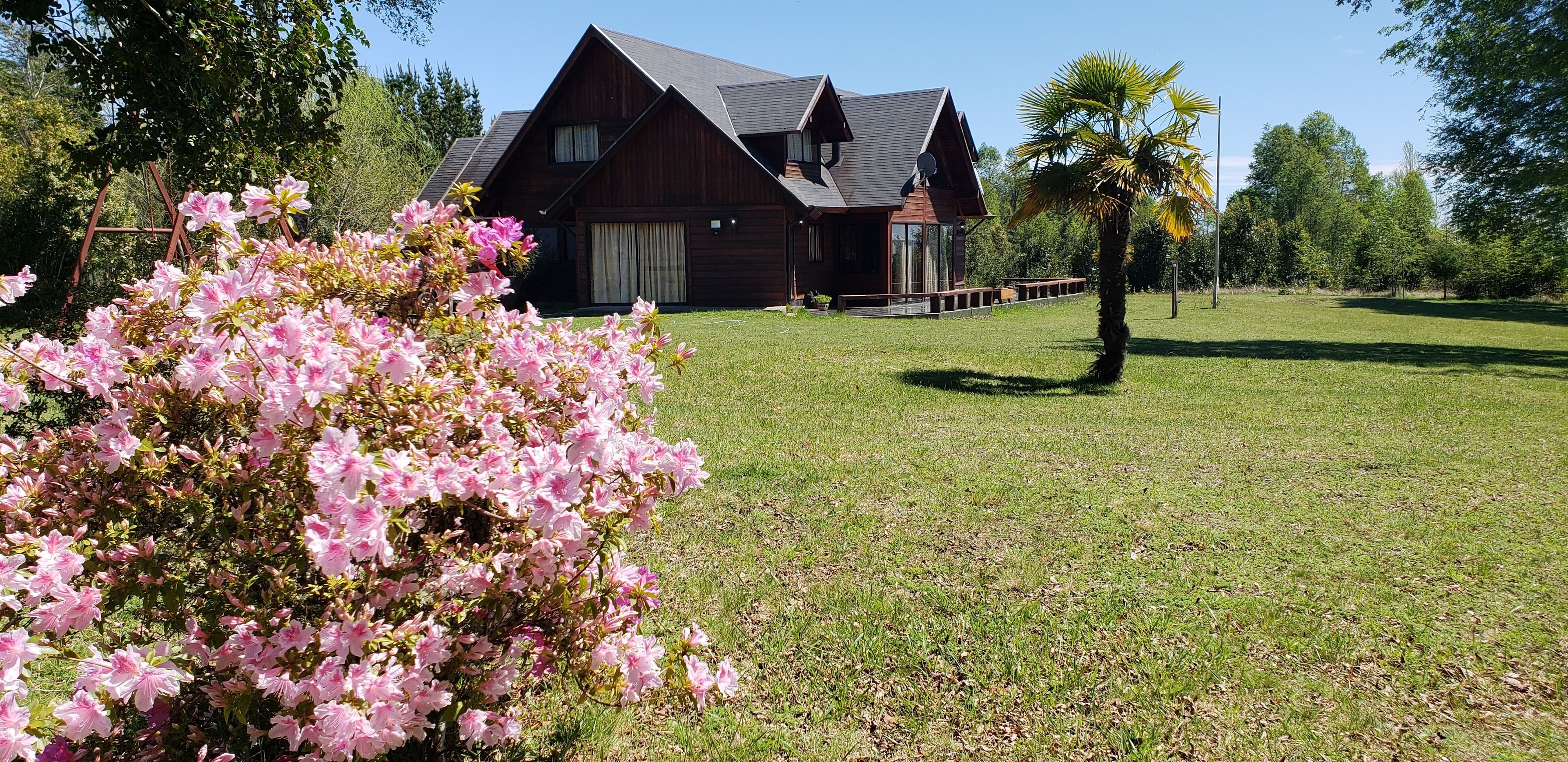 Uma casa de madeira com telhado inclinado, rodeada por um gramado bem cuidado e arbustos floridos.
