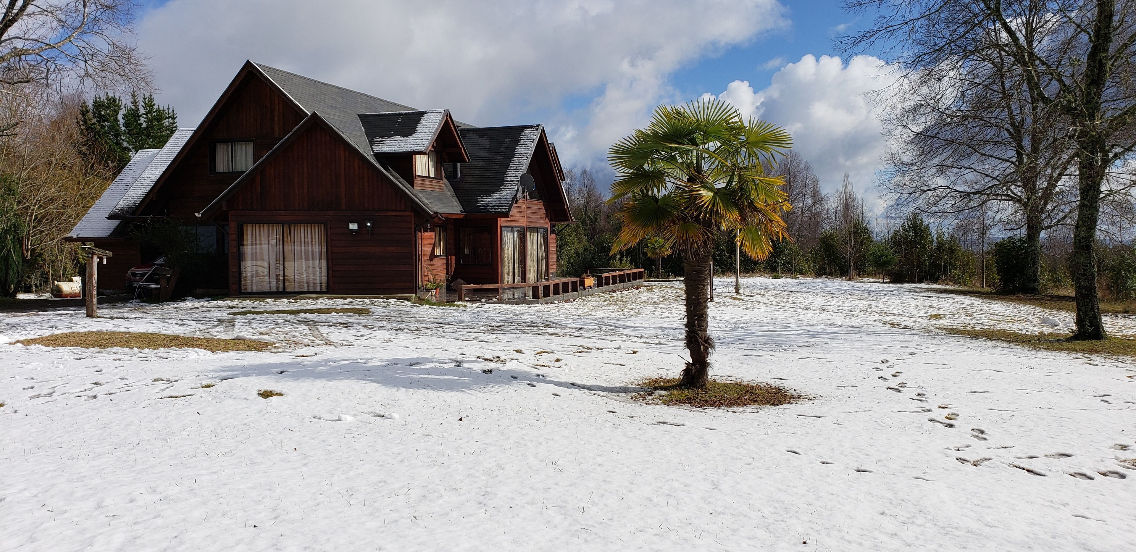 A wooden cabin with a large garage, surrounded by snow-covered ground and a palm tree.