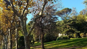 A park with a pathway, trees, and a well-maintained lawn. - Cozy F2 Apartment, A/C, Terrace, Near Thermes & Park, Pet-Friendly, Lamalou-les-Bains (Lamalou-les-Bains)