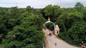 An entrance to a temple with an archway, surrounded by dense greenery. - Hotel Little Buddha (Lumbini)