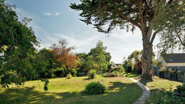 Um jardim bem cuidado com um caminho de pedra que leva a uma casa.