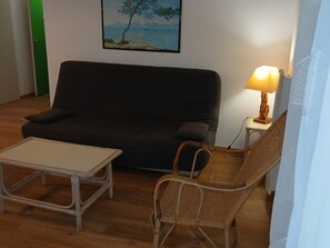 TV - Lamalo-les-Bains: 1BR apt, terrace, 50m to Spa, pets allowed (Lamalou-les-Bains)