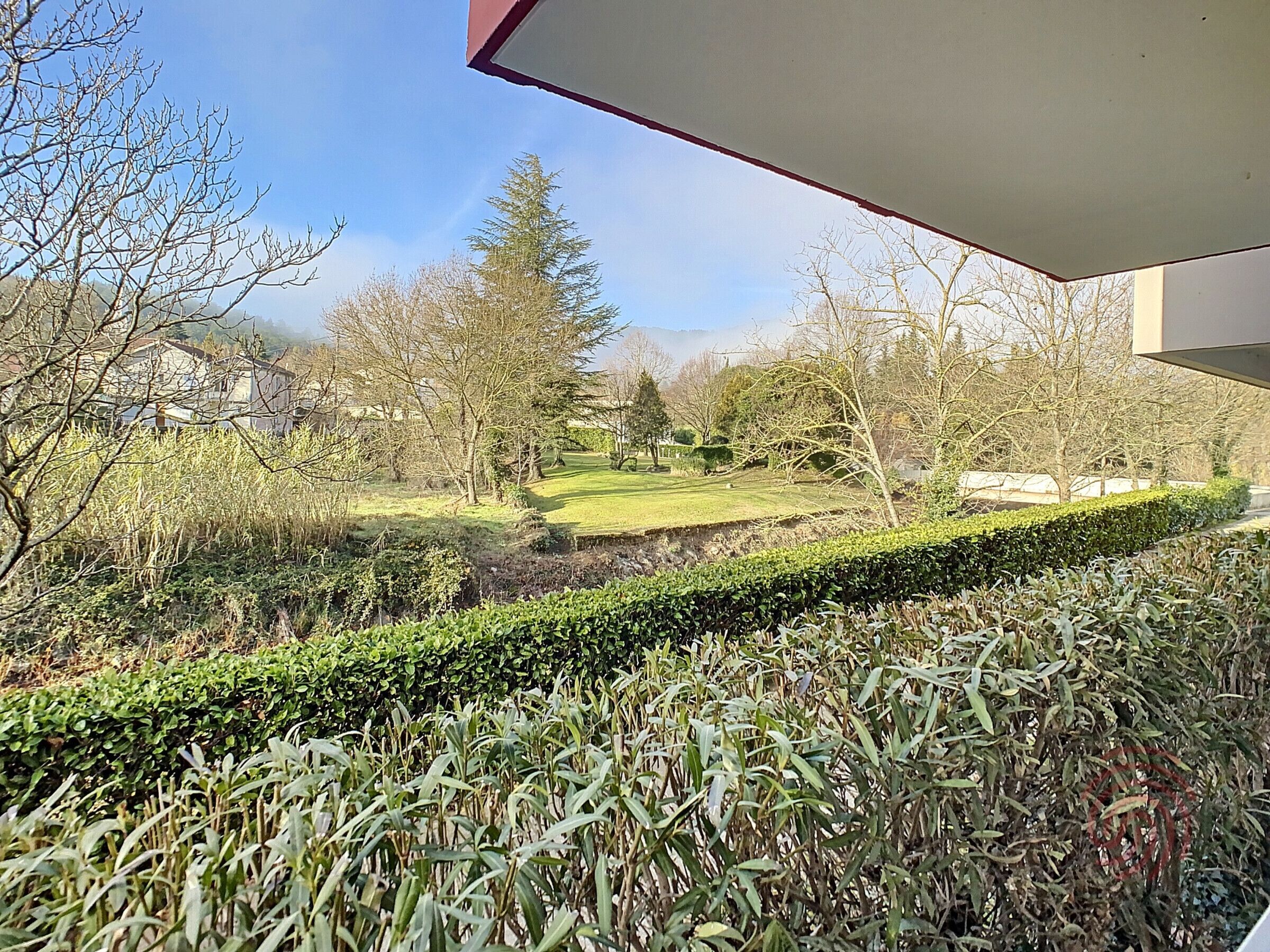 Vista de un jardín con seto, árboles y césped.