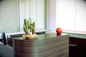 A reception desk with a cactus plant and a red spherical object on it. - Residence Sant'Anna (Ponte San Pietro)
