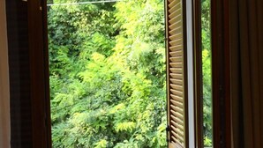 Ảnh chưa phân loại, 5 trong số 66 ảnh, nút