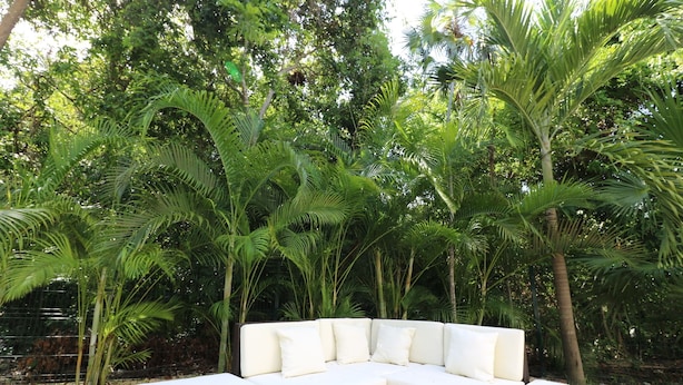 Área de estar externa curvada e branca, rodeada por vegetação verde exuberante.