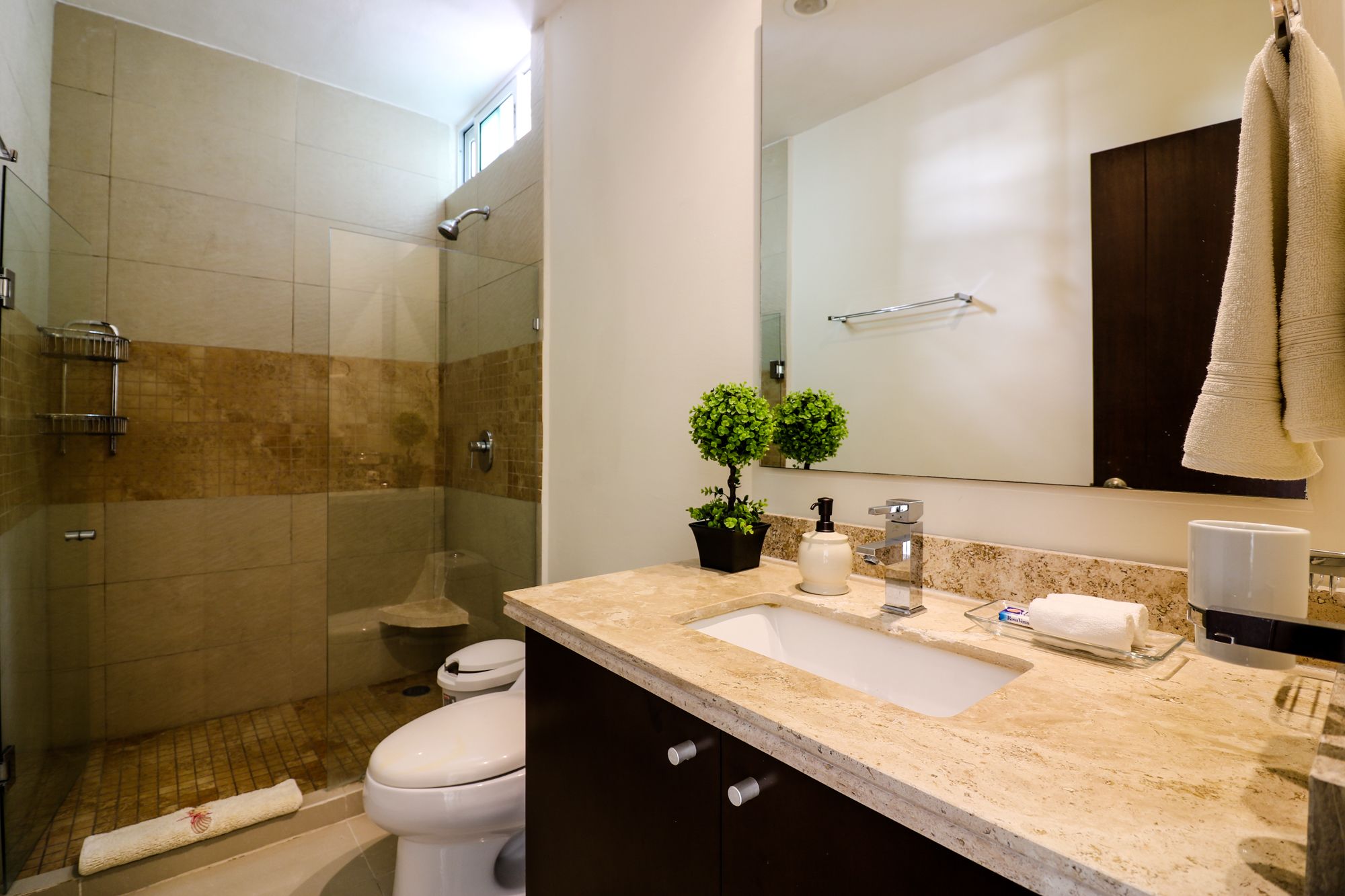 A modern bathroom with a glass shower enclosure, a toilet, a sink with a mirror above, and a potted plant on the counter.