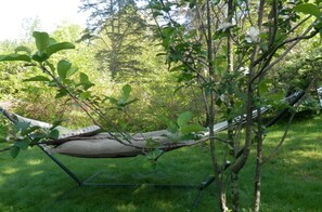 A hammock suspended between trees in a grassy area with dense foliage in the background. - Denmark Stage Stop House (Denmark)