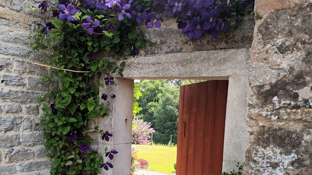 A stone archway with a wooden door, surrounded by greenery and purple flowers.